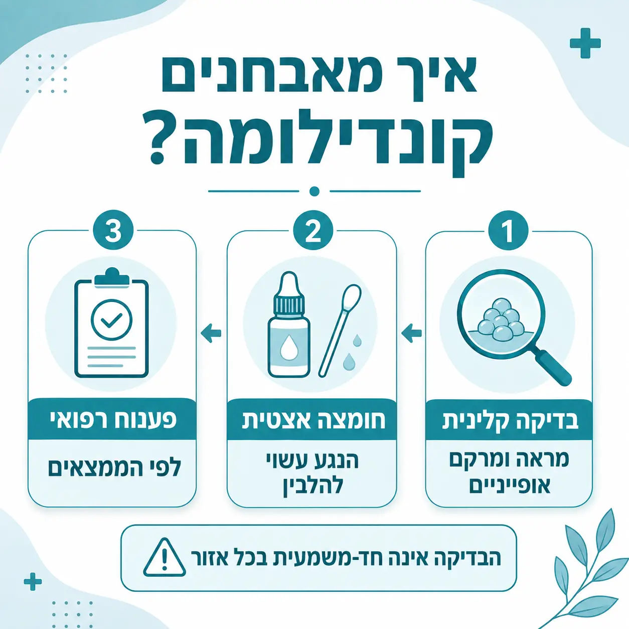 קונדילומה | אינפוגרפיקה