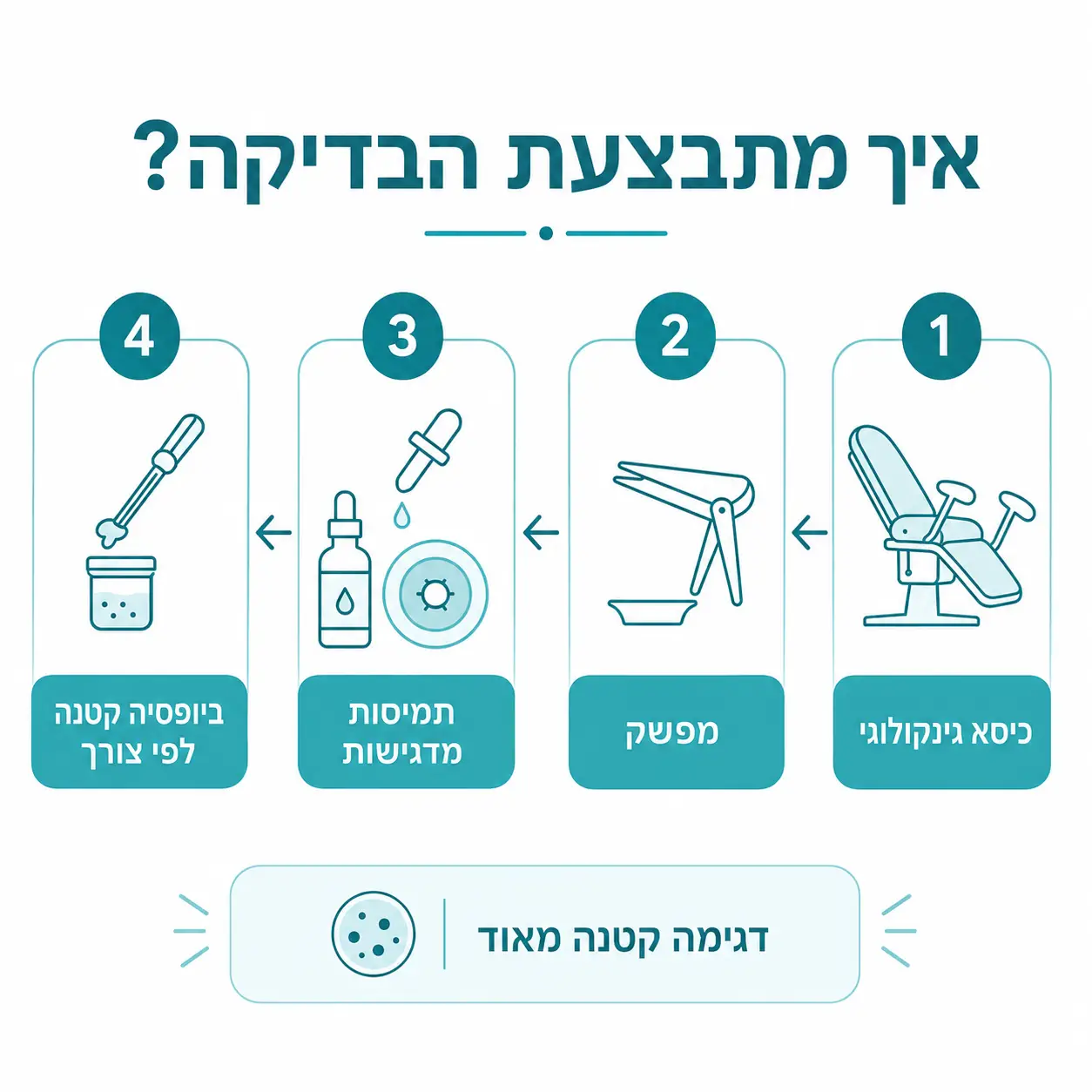 קולפוסקופיה – בדיקת צוואר הרחם | אינפוגרפיקה