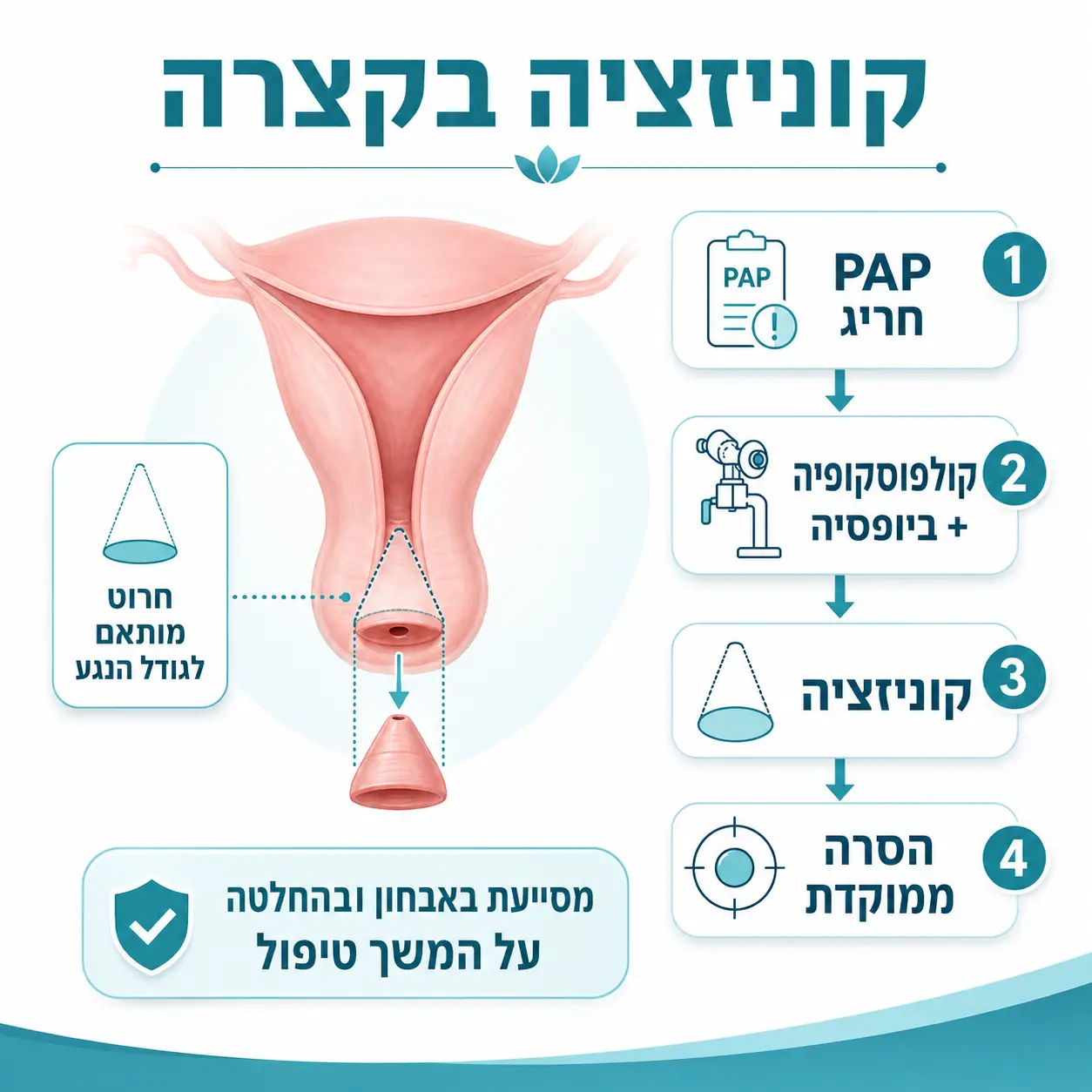 קולפוסקופיה – בדיקת צוואר הרחם | אינפוגרפיקה