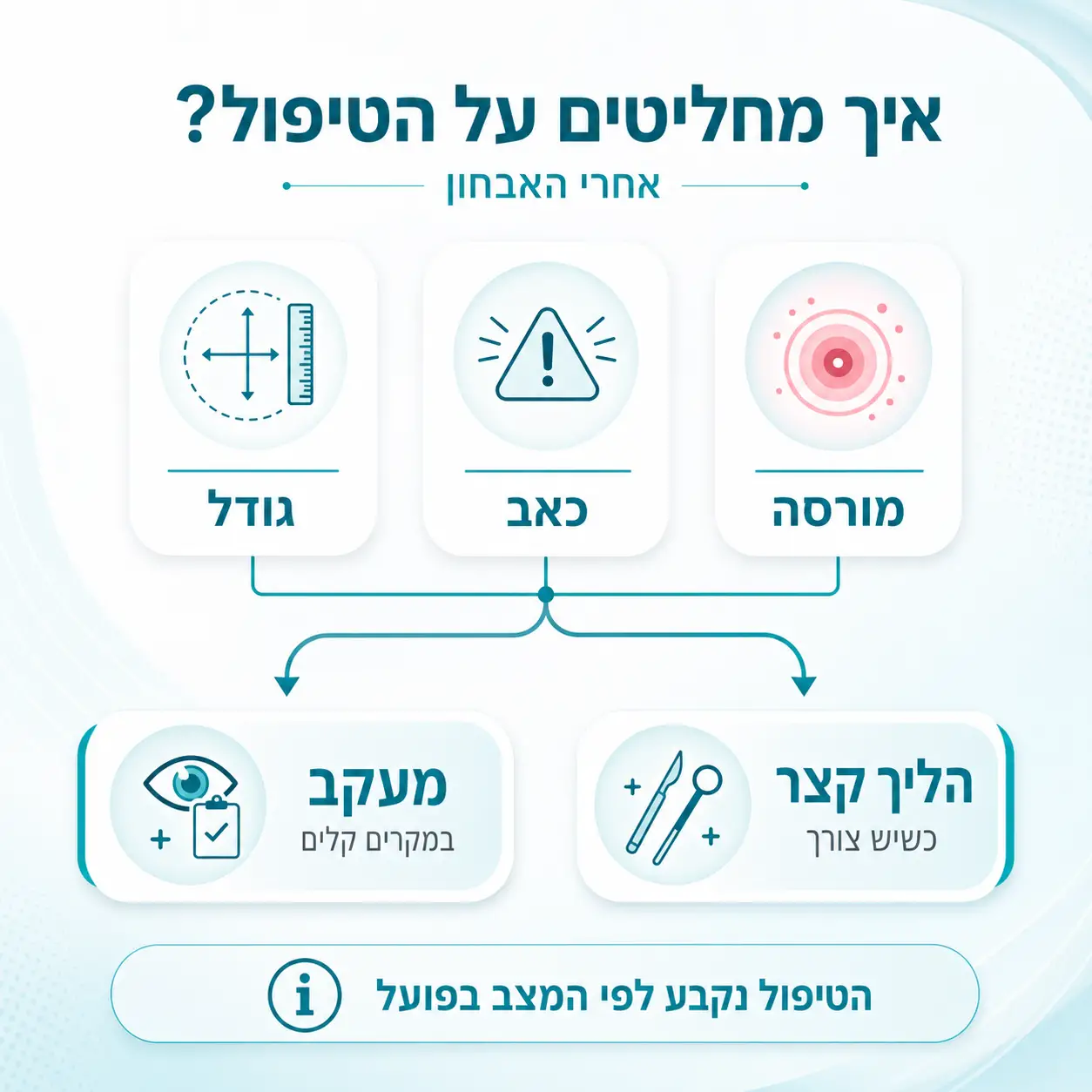ציסטה ברטוליני | אינפוגרפיקה