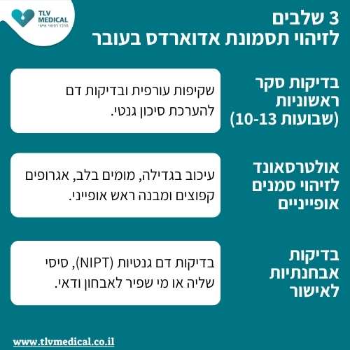 3 שלבים לזיהוי תסמונת אדוארדס בעובר