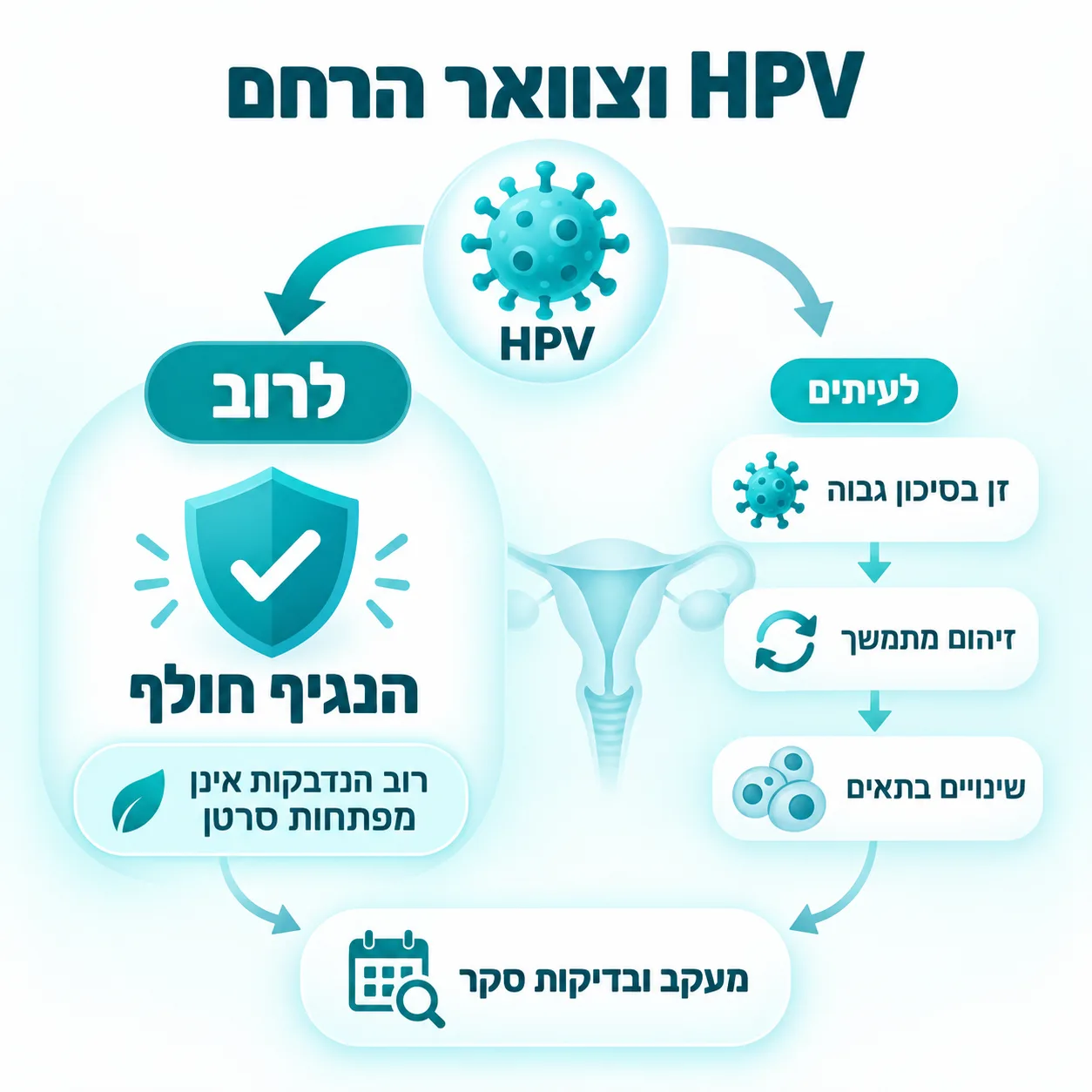 סרטן צוואר הרחם | אינפוגרפיקה